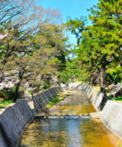 さくら夙川JR駅徒歩1分！