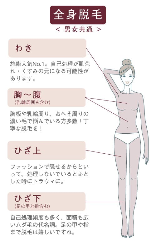 脱毛全身 イラスト 男女共通 わき 胸〜腹 ひざ上 ひざ下(ひざ、足の甲と指含む) 背中(肩、胸、腰) ひじ上
ひじ下(ひじ、手の甲と指含む 臀部(Oライン除く)